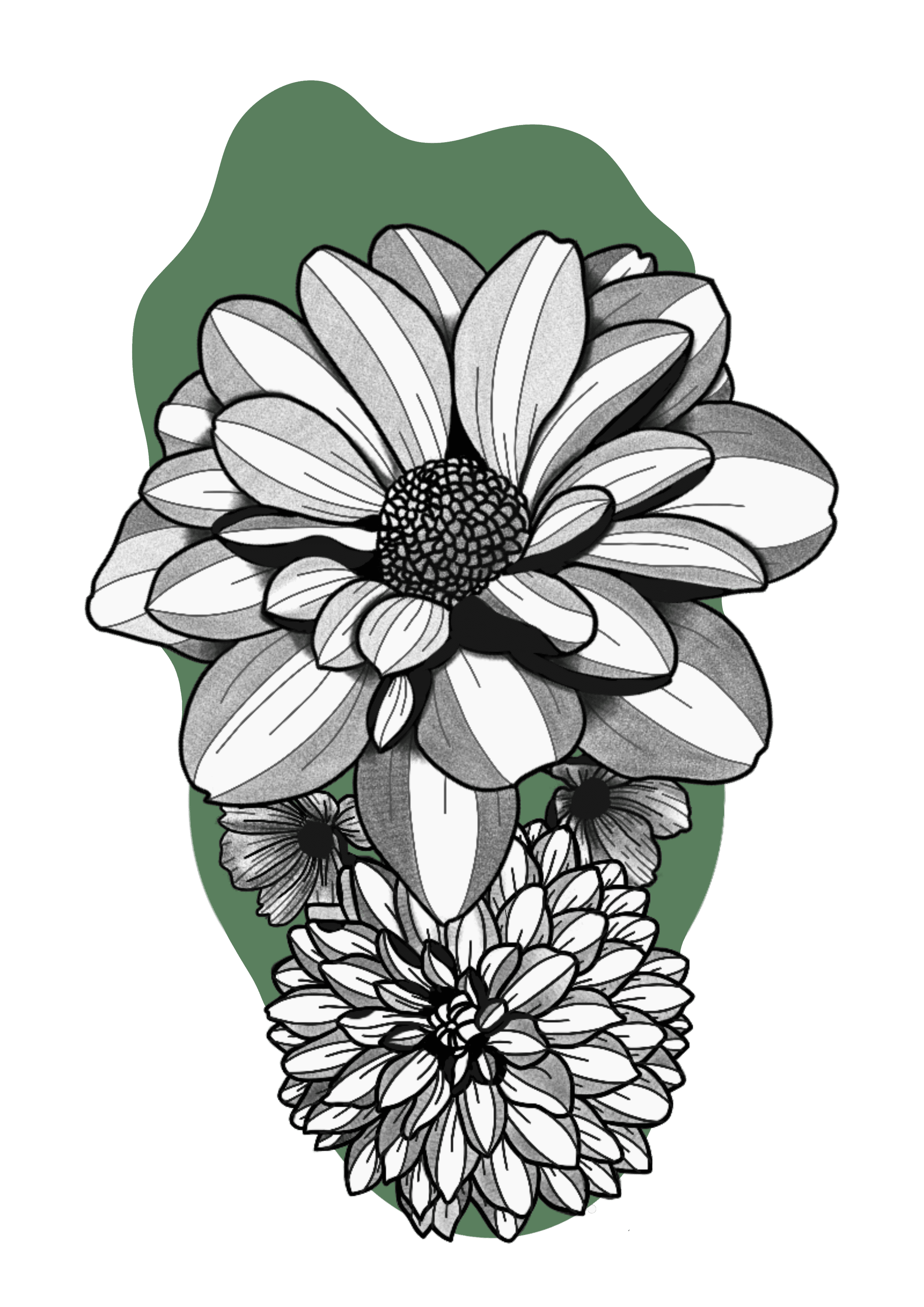 Dahlia