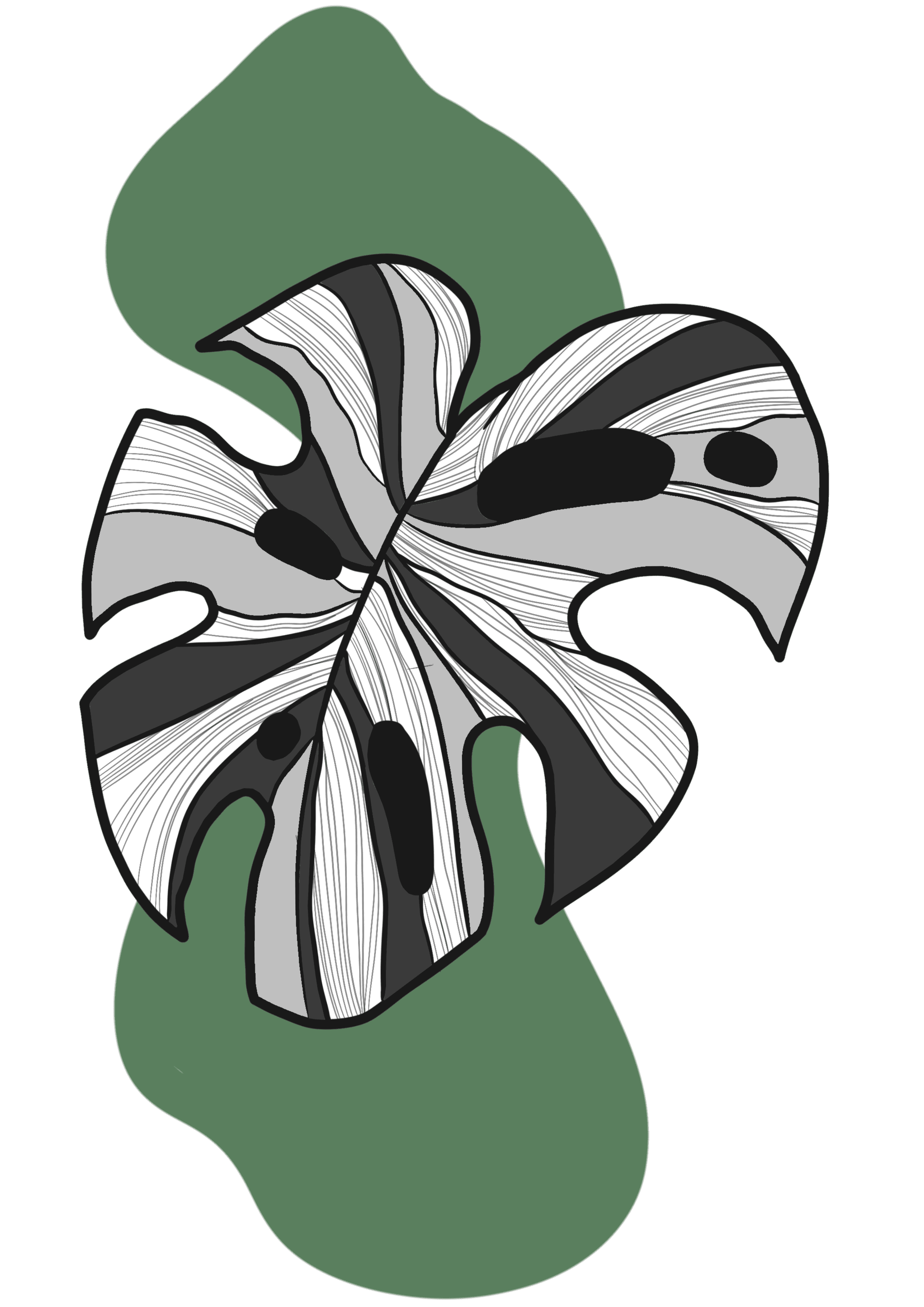 Monstera